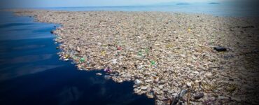 plastic bottles on the oean